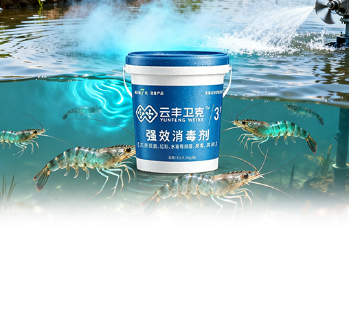 云丰卫克3#—强效消毒剂