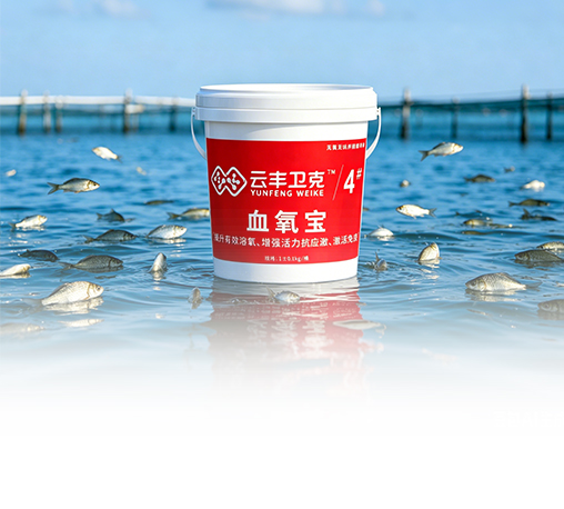 云丰卫克4#—血氧宝
